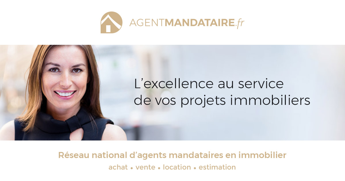 Logo de l'agence Agent Mandataire France