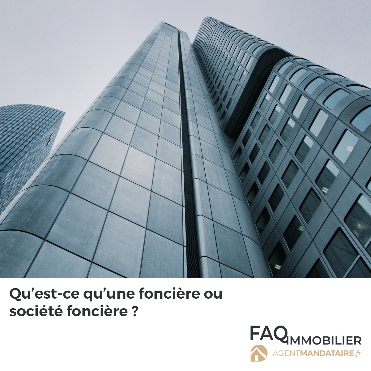 Société foncière et investissement immobilier
