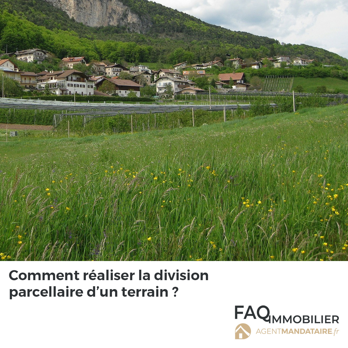 Division parcellaire d'un terrain