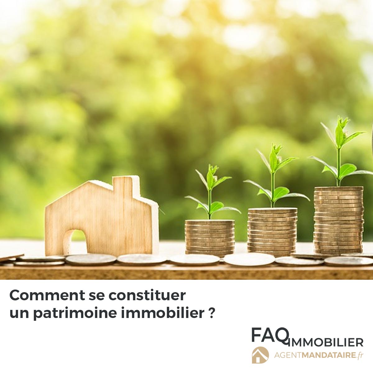 constituer un patrimoine immobilier